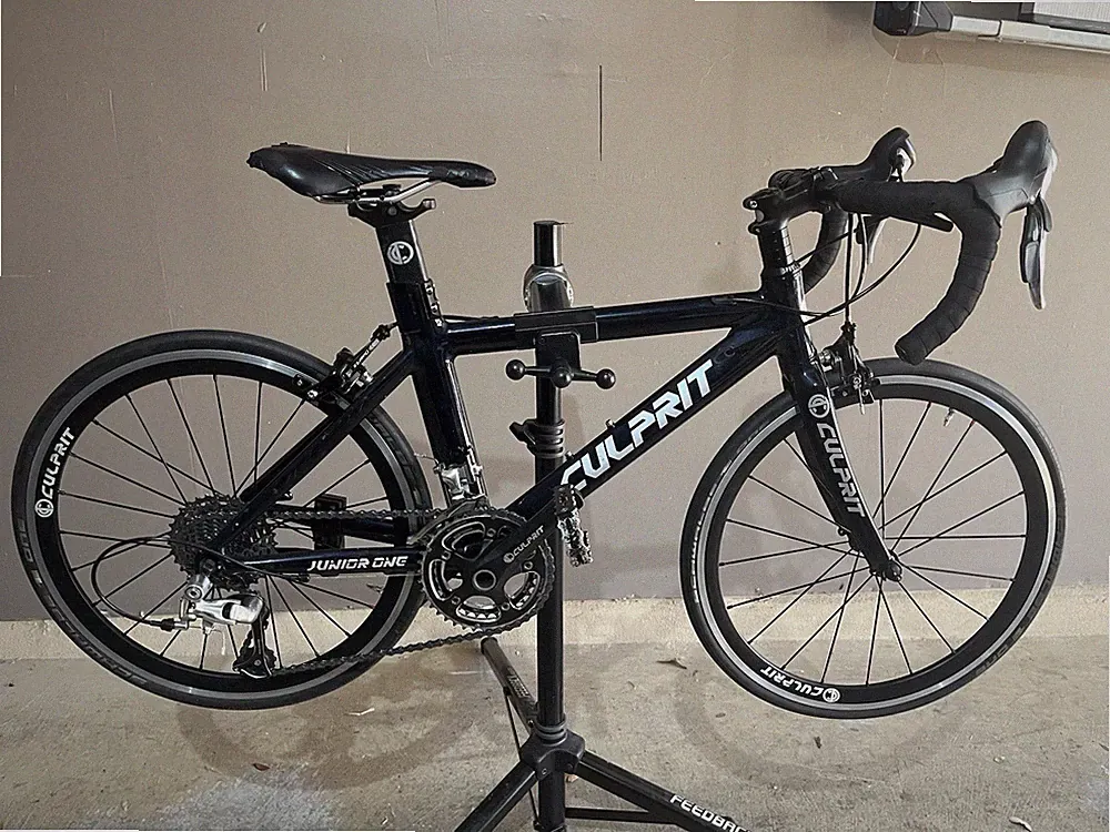 Kickstand Triathlon Bike